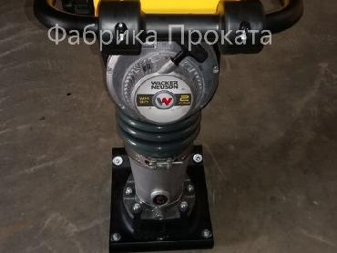 Аренда вибротрамбовки Wacker Neuson BS 50-2i